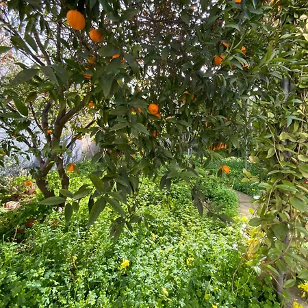 דירה Casa Deloy Elmas